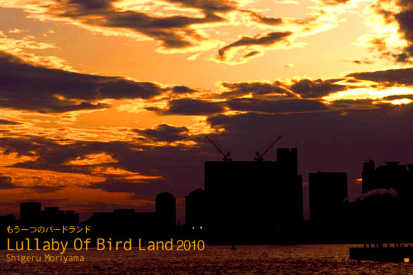  - Bird_Land_2010